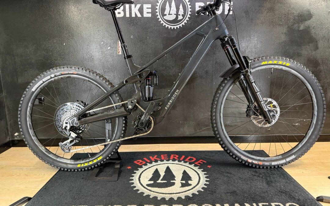 FORBIDDEN DRUID COR-E – EBIKE DA ENDURO